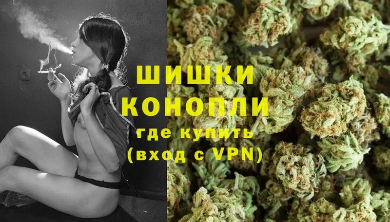 Где купить наркотики Данилов гидра как войти  Cocaine  Мефедрон  МАРИХУАНА  A-PVP 